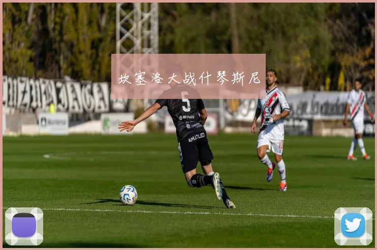 坎塞洛大战什琴斯尼
