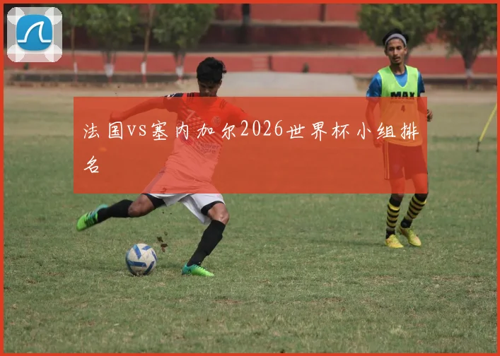 法国vs塞内加尔2026世界杯小组排名