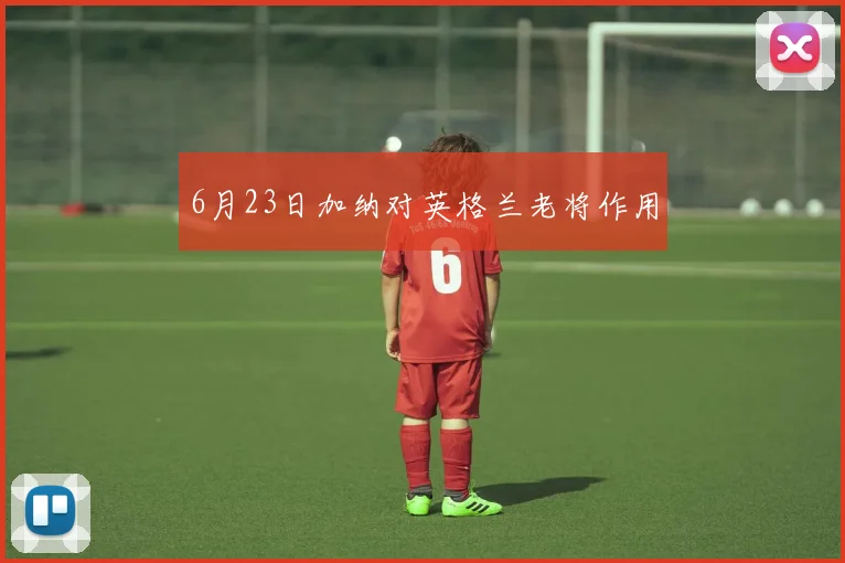 6月23日加纳对英格兰老将作用