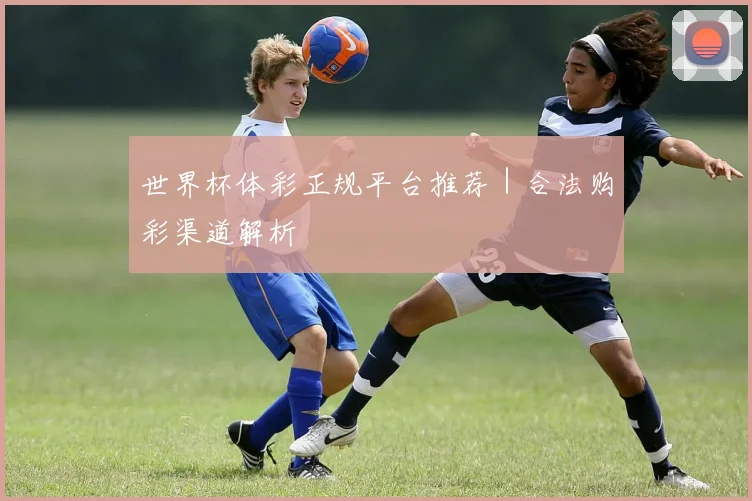 世界杯体彩正规平台推荐｜合法购彩渠道解析